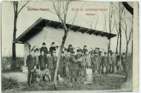 Tanítóképző Intézet, méhészet