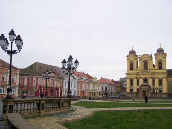 Arad 2010