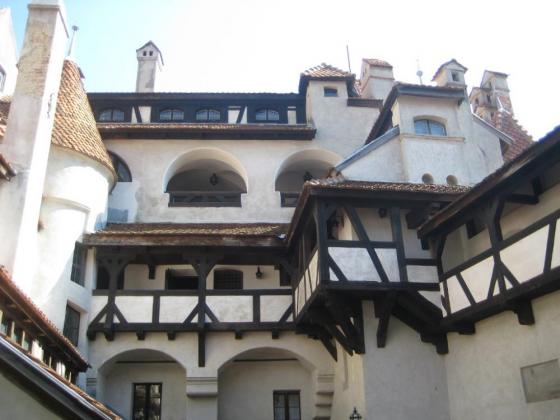 Arad 2010