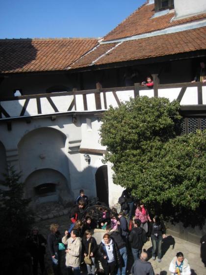 Arad 2010