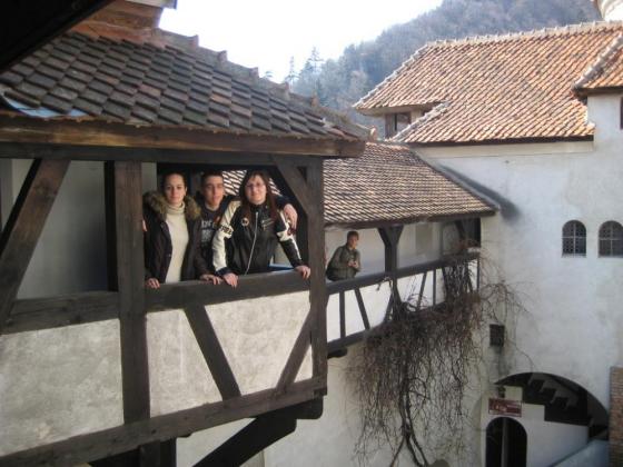 Arad 2010