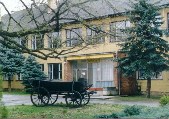Tagintézmény