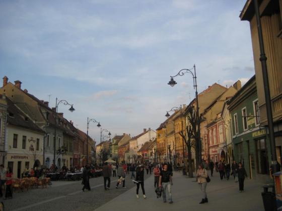 Arad 2010