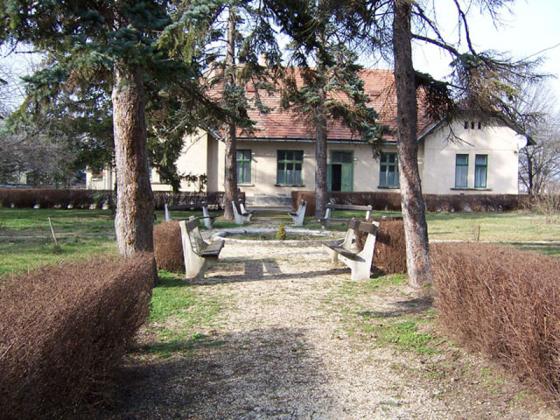 Tagintézmény