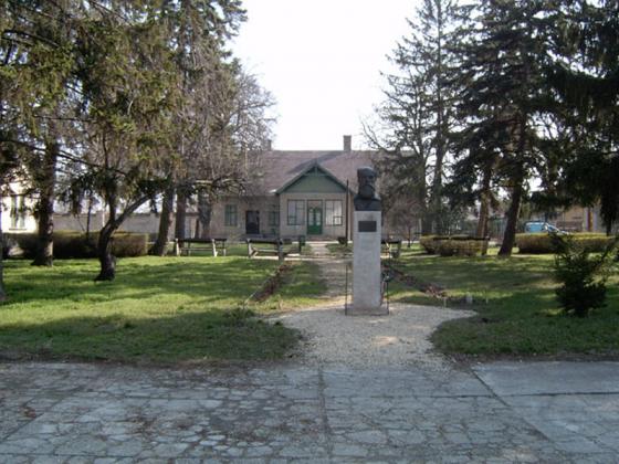 Tagintézmény