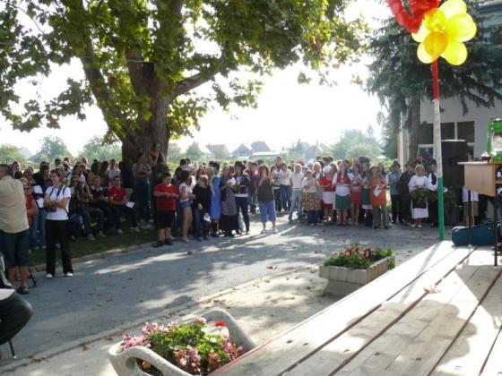 Szüreti nap 2009.