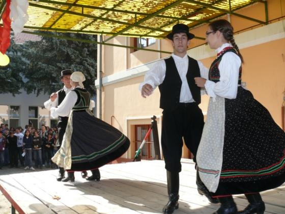 Szüreti nap 2009.