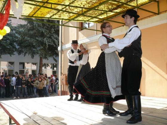 Szüreti nap 2009.