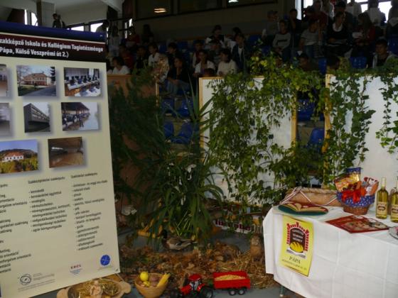 Pályaválasztási nap 2009.