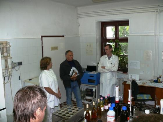 Borászat, Badacsony