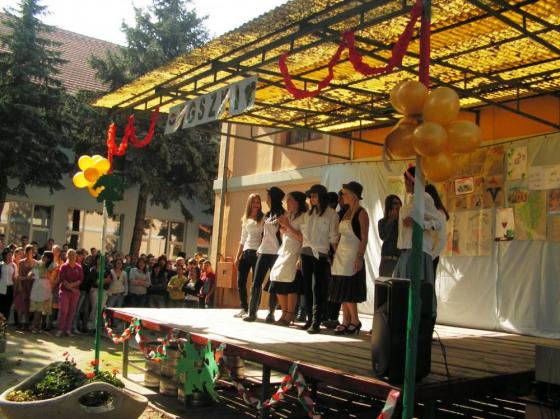 Szüreti nap 2010
