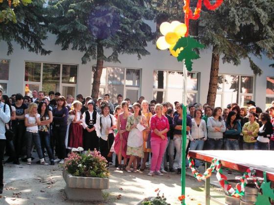 Szüreti nap 2010