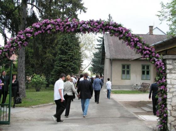 Ballagás 2010 - Tagintézmény